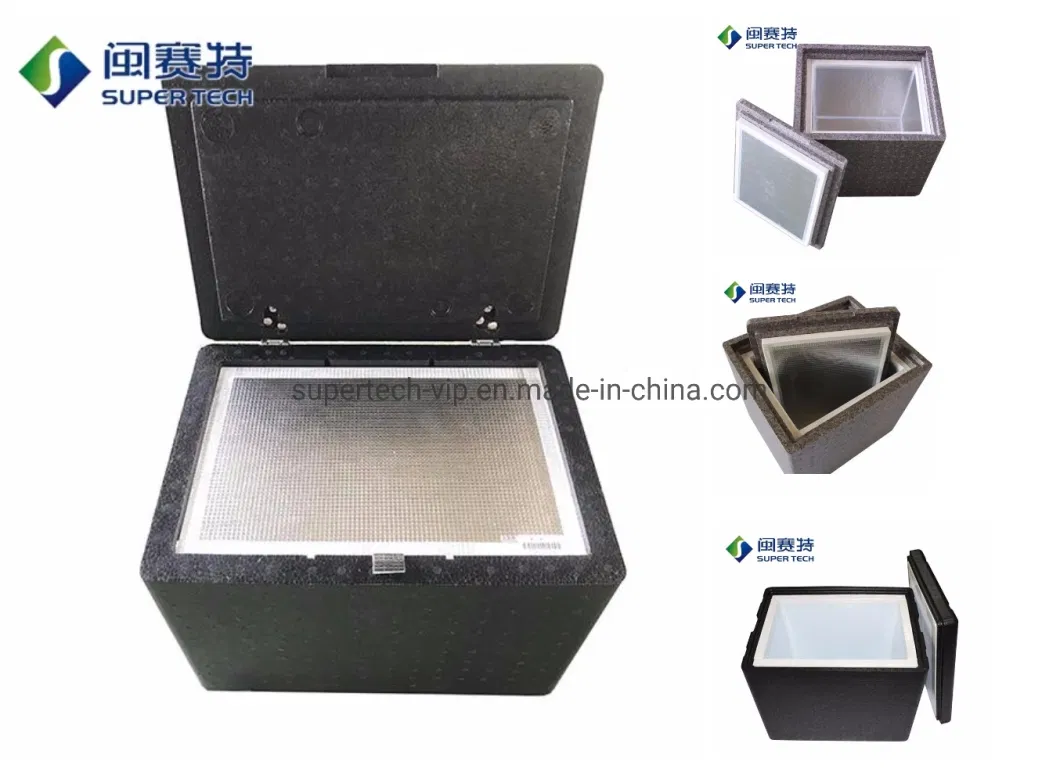 Durable Reusable EPP VIP Cooler Box for Pharmaceutical Temperature Controlled Packaging